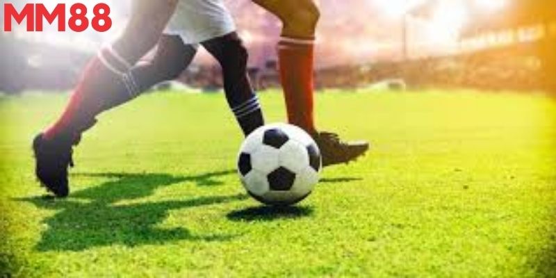 Hoang mang sau khi tool tự đặt cược sai trận đấu